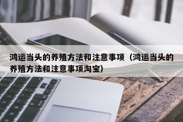 鸿运当头的养殖方法和注意事项（鸿运当头的养殖方法和注意事项淘宝）