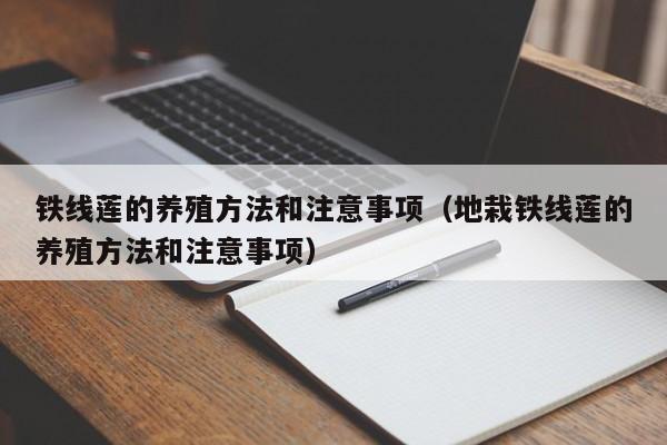 铁线莲的养殖方法和注意事项（地栽铁线莲的养殖方法和注意事项）