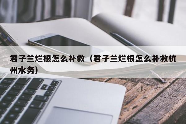 君子兰烂根怎么补救（君子兰烂根怎么补救杭州水务）