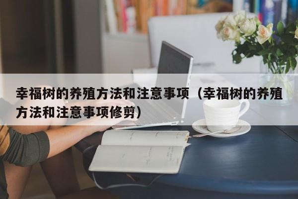 幸福树的养殖方法和注意事项（幸福树的养殖方法和注意事项修剪）