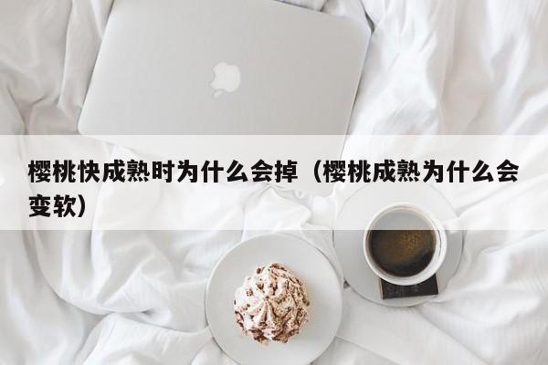 樱桃快成熟时为什么会掉（樱桃成熟为什么会变软）