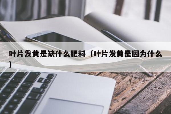 叶片发黄是缺什么肥料（叶片发黄是因为什么）