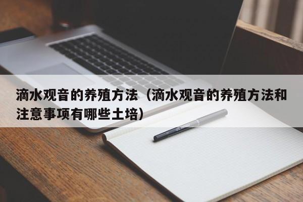 滴水观音的养殖方法（滴水观音的养殖方法和注意事项有哪些土培）