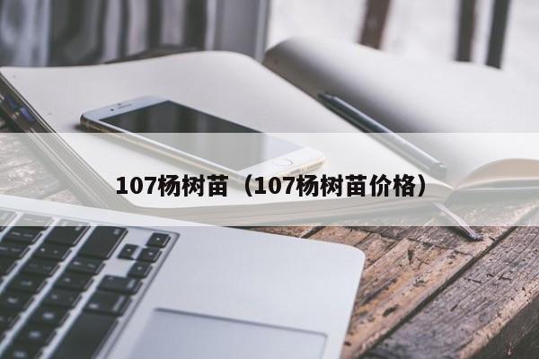 107杨树苗（107杨树苗价格）