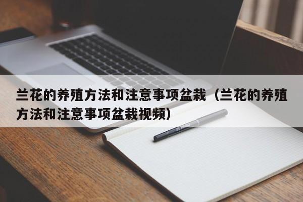 兰花的养殖方法和注意事项盆栽（兰花的养殖方法和注意事项盆栽视频）