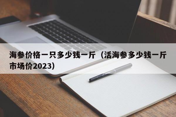 海参价格一只多少钱一斤（活海参多少钱一斤市场价2023）