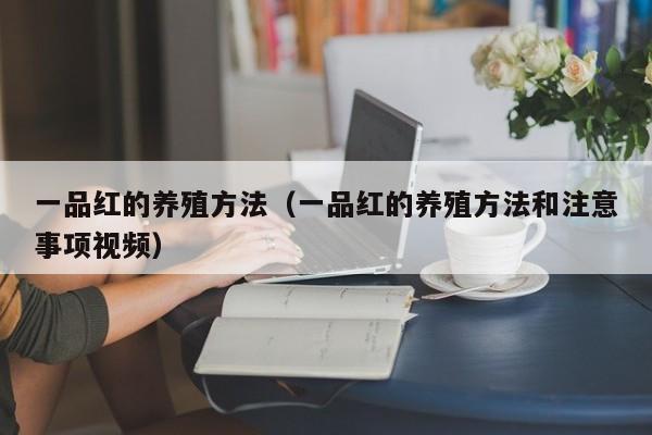 一品红的养殖方法（一品红的养殖方法和注意事项视频）