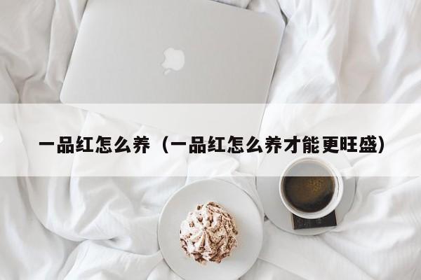 一品红怎么养（一品红怎么养才能更旺盛）