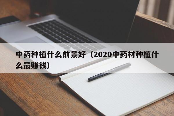 中药种植什么前景好（2020中药材种植什么最赚钱）