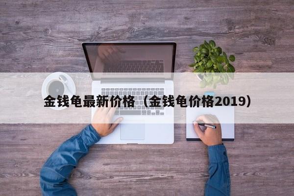 金钱龟最新价格（金钱龟价格2019）