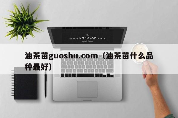 油茶苗guoshu.com（油茶苗什么品种最好）