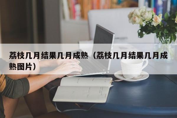 荔枝几月结果几月成熟（荔枝几月结果几月成熟图片）