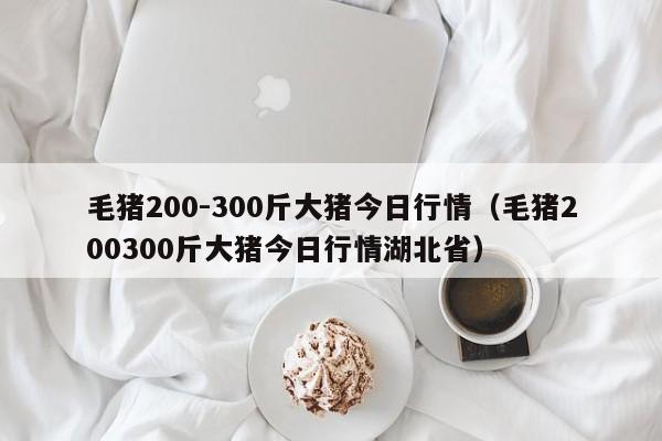 毛猪200-300斤大猪今日行情（毛猪200300斤大猪今日行情湖北省）