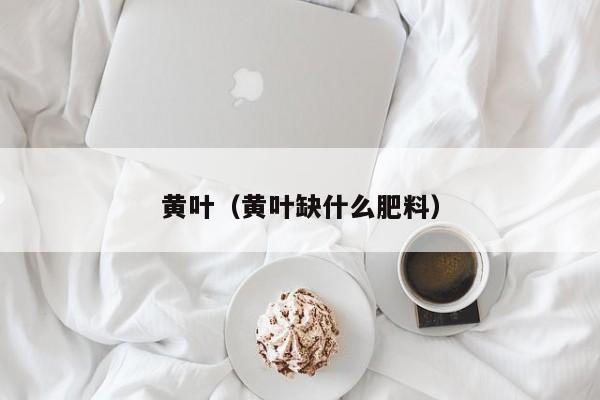 黄叶（黄叶缺什么肥料）