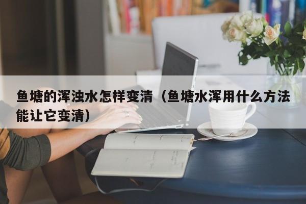 鱼塘的浑浊水怎样变清（鱼塘水浑用什么方法能让它变清）