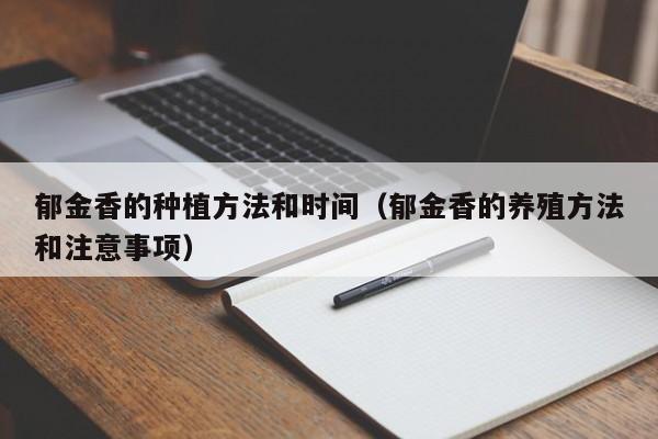 郁金香的种植方法和时间（郁金香的养殖方法和注意事项）